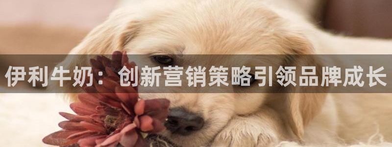 必赢集团菲律宾