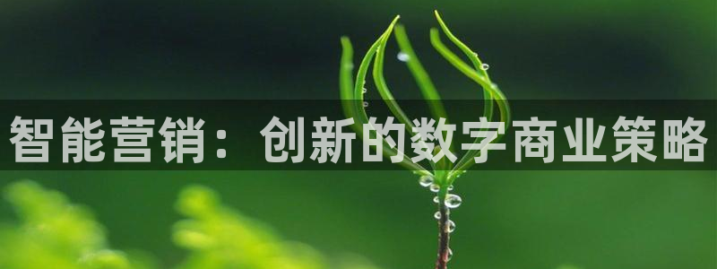 必赢手机app下载安装官网