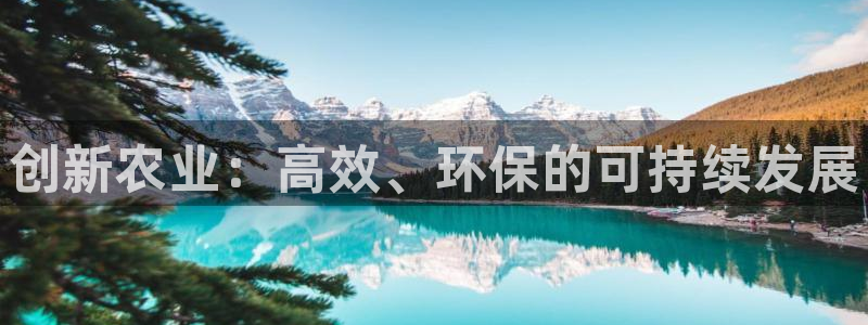 必赢平台网站多少