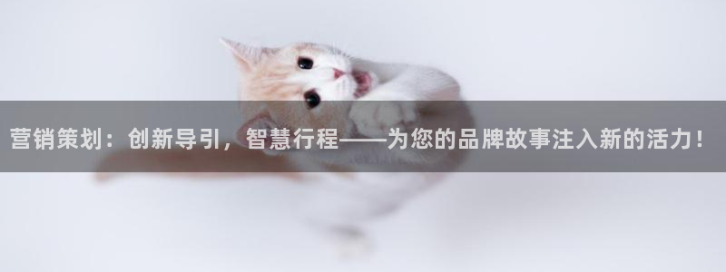 必赢app官方网站