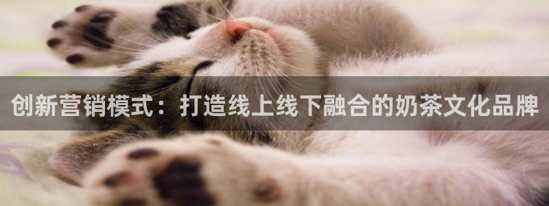 必赢国际app下链接