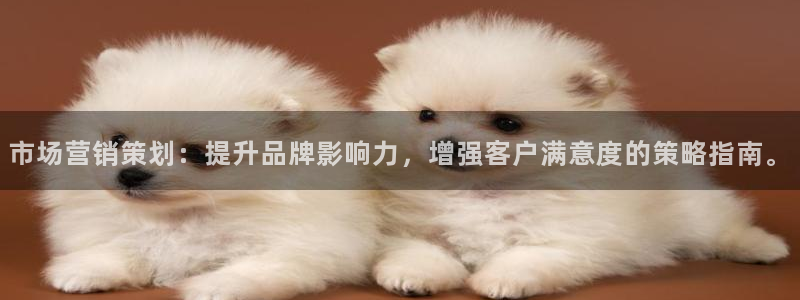 必赢旧网站