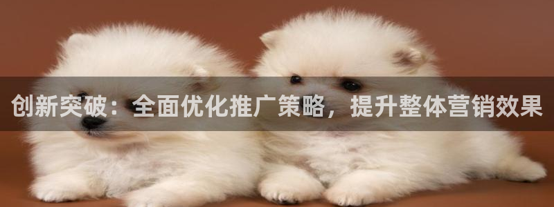 必赢官网网站入口