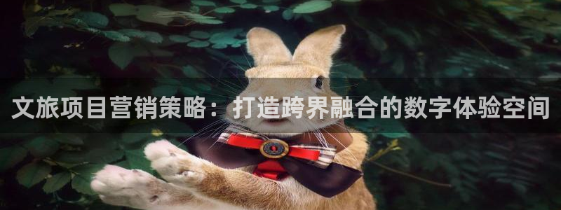 必赢平台电子