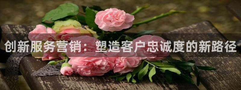 必赢网站mg冰球突破豪华版