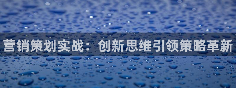 必赢旧网站