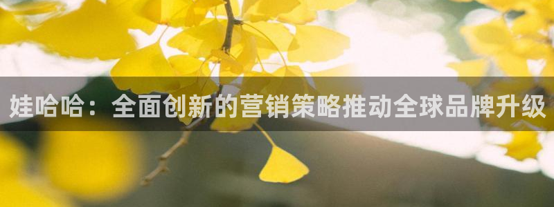 必赢官网入口下载安装手机版：娃