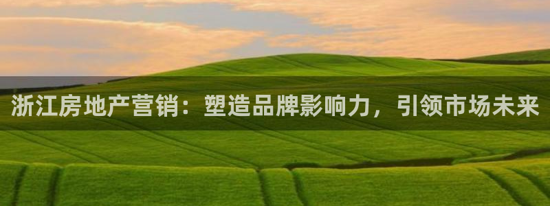必赢平台网