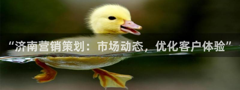 必赢下载